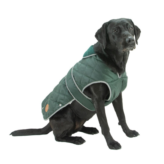  Heritage Green Quilted Dog Coat