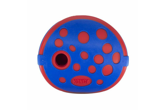  KONG Rewards Wally Dog Toy