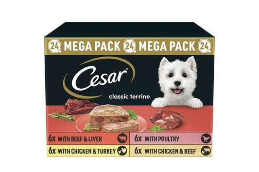  CESAR Classics Terrine Mixed Selection 24 Pack