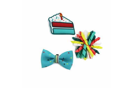  Ancol Pawty Its My Birthday Accessories