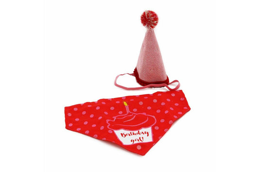  Ancol Pawty Its My Birthday Hat & Bandana