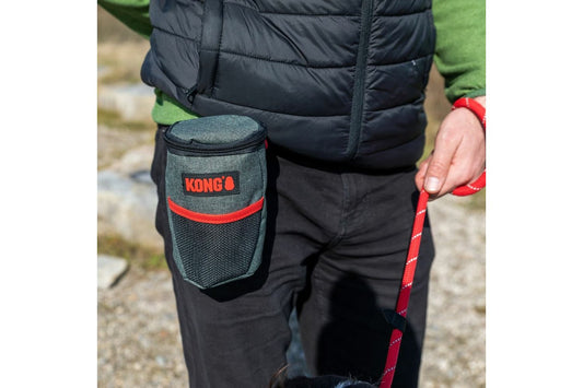  KONG Pick Up Bags Pouch