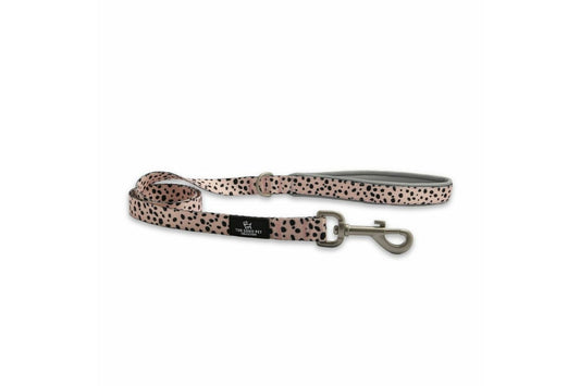  Ancol Dog Lead Soho Dalmatian