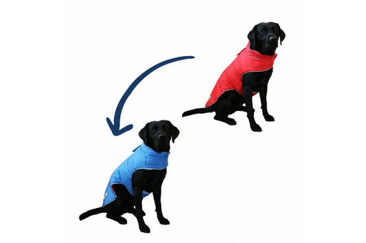  Ancol Viva Reversible Puffer Coat Red/blue