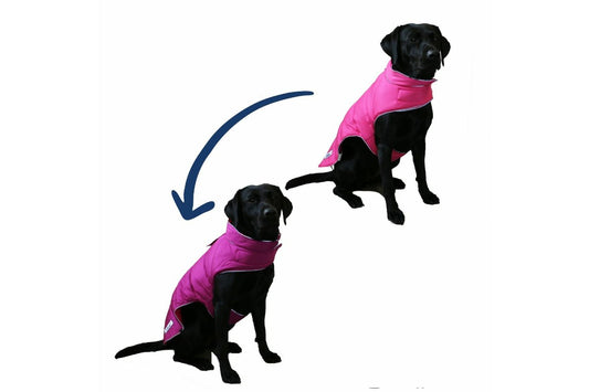  Ancol Viva Reversible Dog Coat Pink/Purple Small/Medium