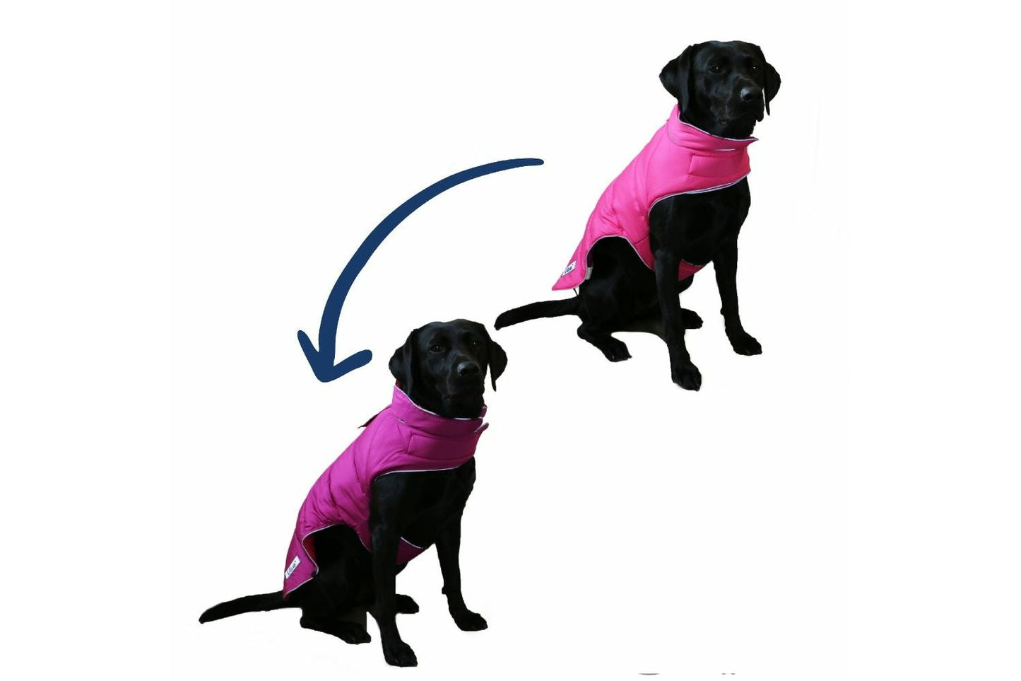  Ancol Viva Reversible Puffer Coat Pink/Purple
