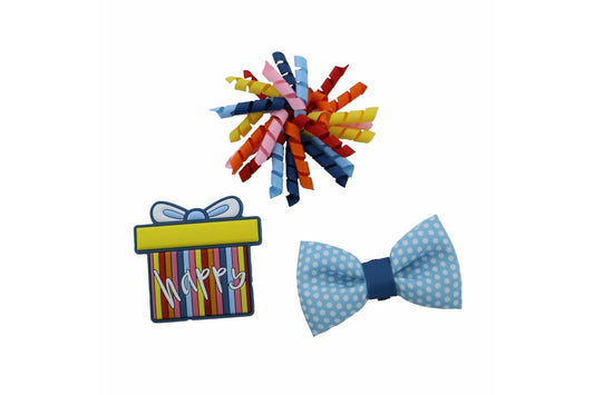 Ancol Pawty Time Stripe Accessories Collar Set