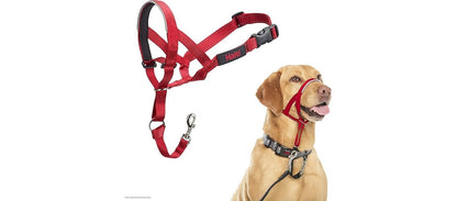  Halti Red Head Collar