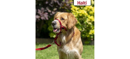  Halti Red Head Collar