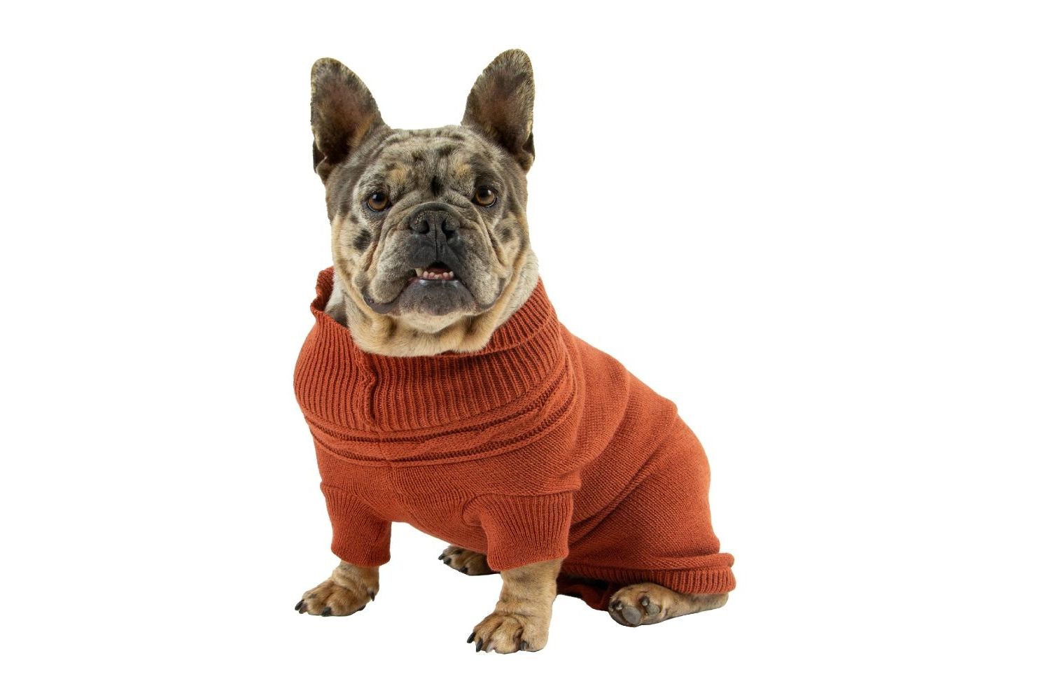  Ancol Snug Fit Cable Knit Dog Jumper Terracotta