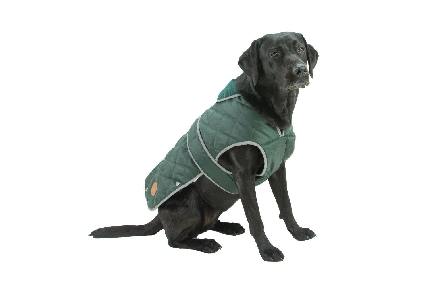  Ancol Heritage Dog Coat Green Quilted