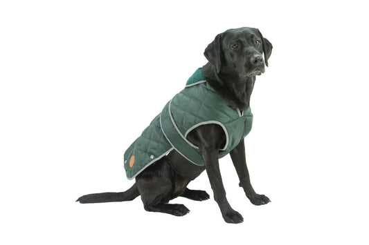  Ancol Heritage Dog Coat Green Quilted