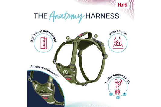  Halti Anatomy Dog Harness Green