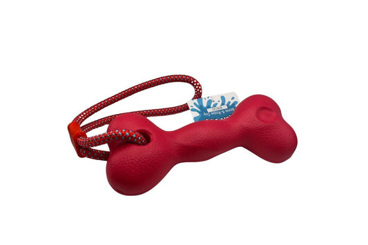  Aqua Dog Bone & Rope Red