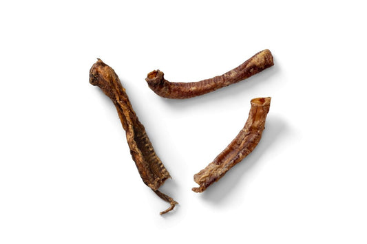  NAW Lamb Trachea