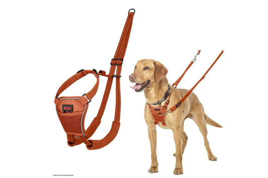  Halti No Pull Harness Orange