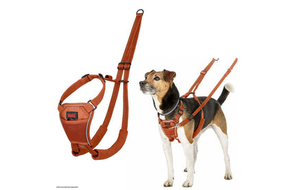  Halti No Pull Harness Orange