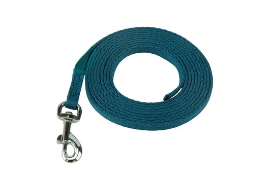  Coachi Puppy & Mini Teal Training Lead
