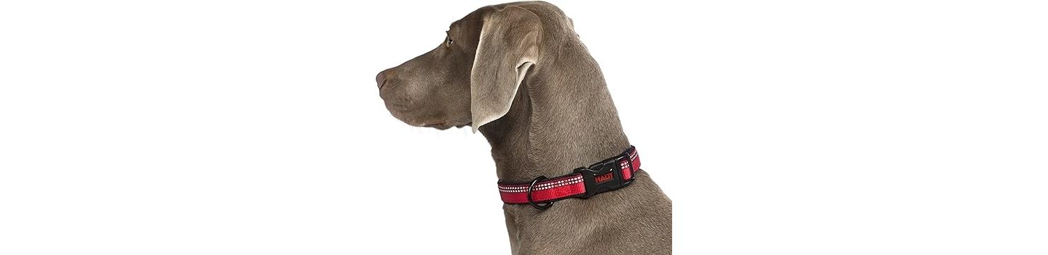  Halti Nylon Adjustable Red Collar