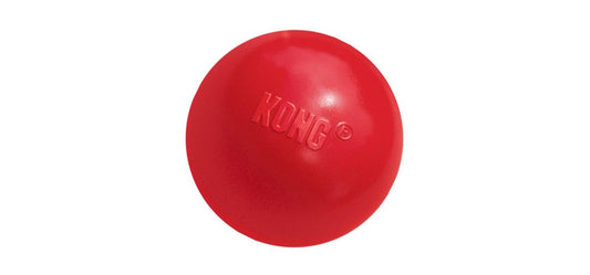  KONG Dog Ball Medium - Large