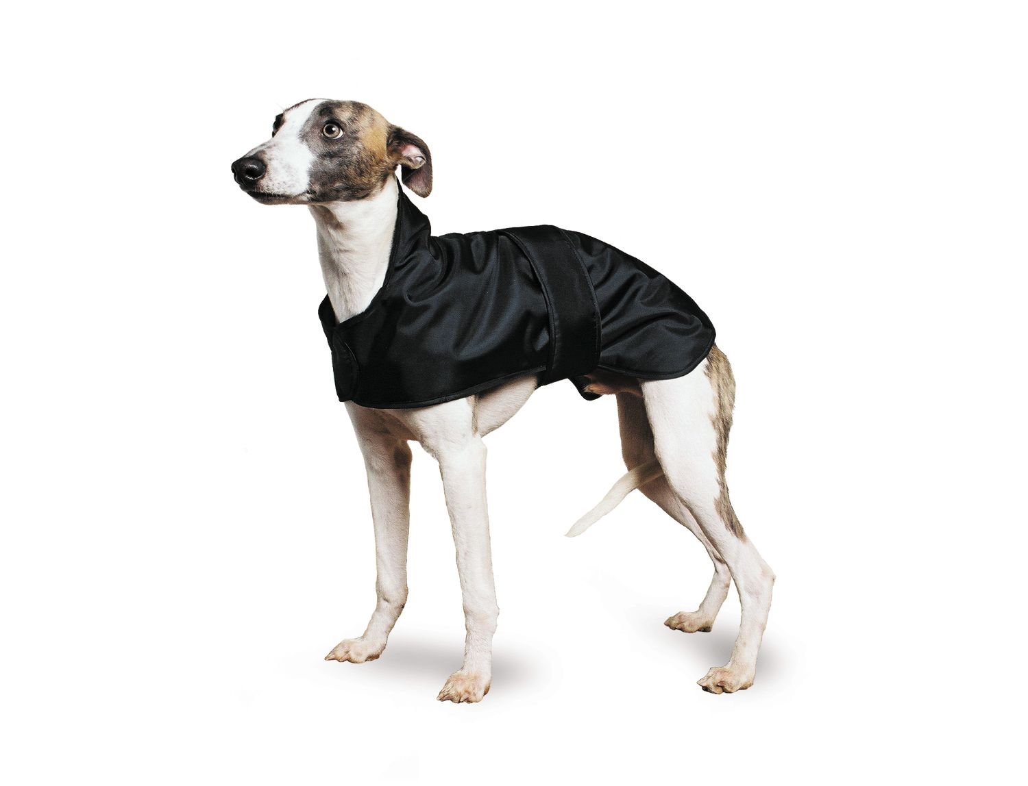  Muddy Paws Greyhound/Whippet Dog Coat In Black