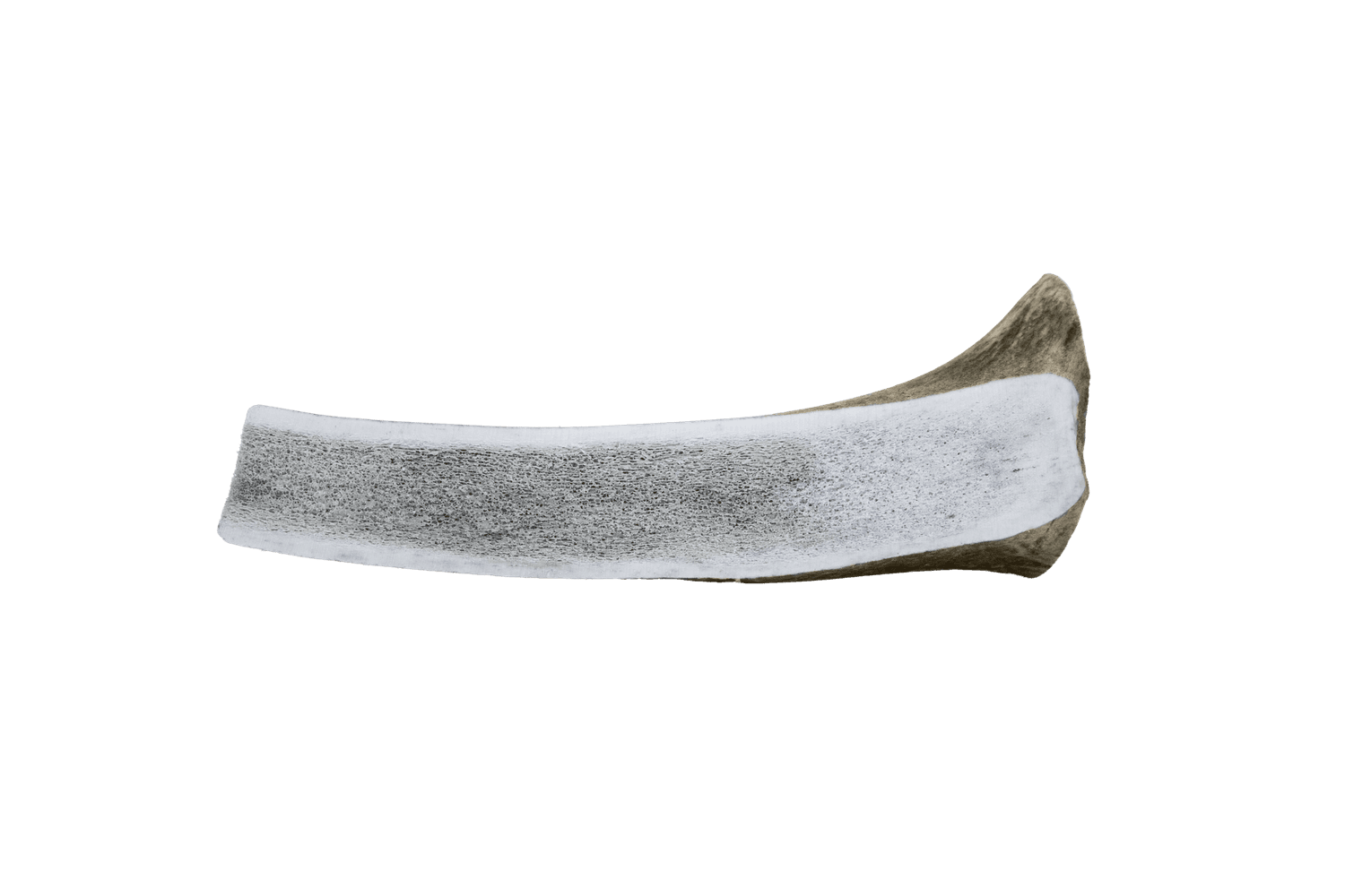  The Wild Antler Co. Half Wild Antler Dog Chew