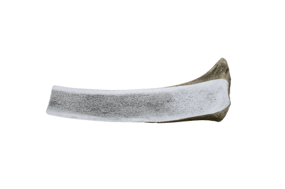  The Wild Antler Co. Half Wild Antler Dog Chew