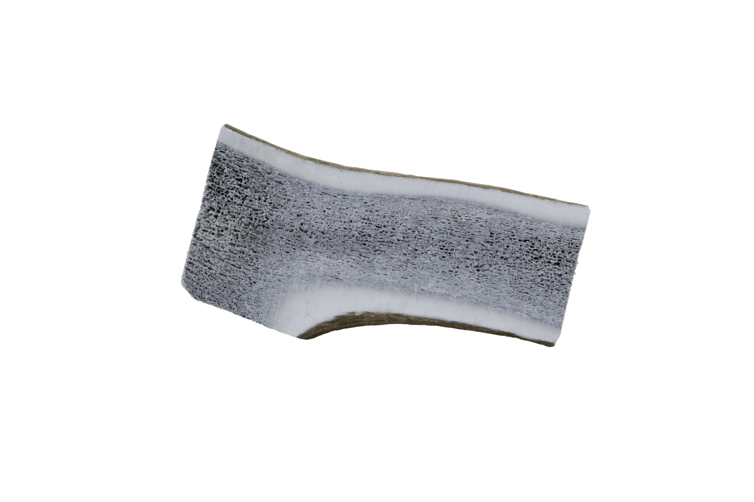  The Wild Antler Co. Half Wild Antler Dog Chew