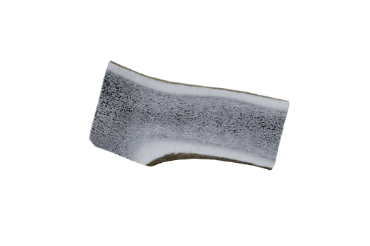  The Wild Antler Co. Half Wild Antler Dog Chew
