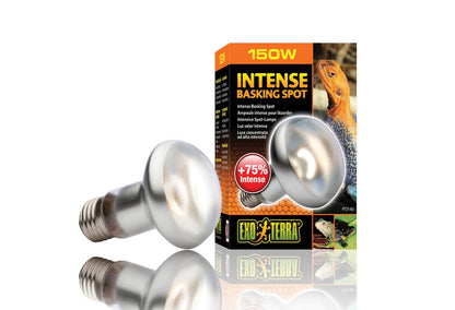  Exo Terra Intense Basking Spot Lamp