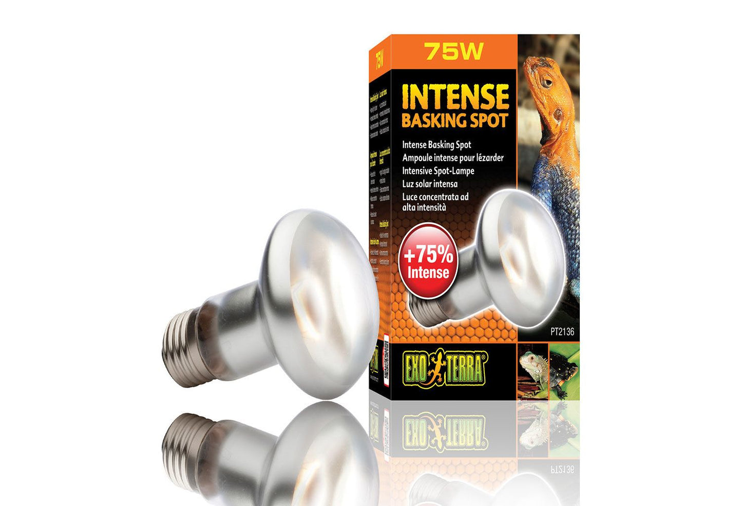  Exo Terra Intense Basking Spot Lamp