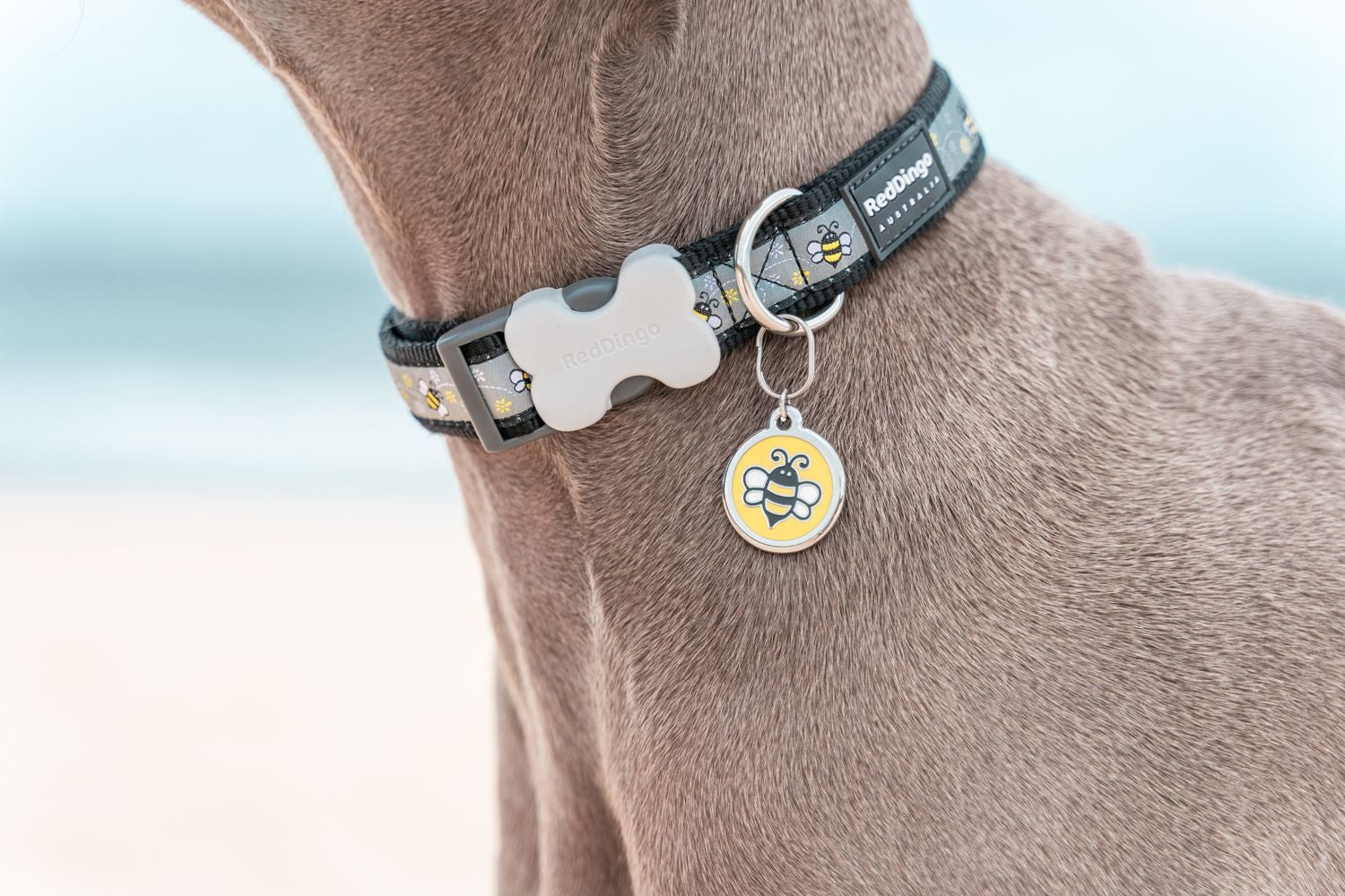  Red Dingo Stainless Steel Engraved Dog Tag Bumble Bee Yellow
