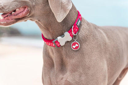  Red Dingo Stainless Steel Engraved Dog Tag Bone Pink