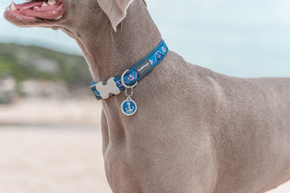  Red Dingo Stainless Steel Engraved Dog Tag Tribal Heart Light Blue