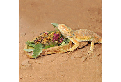  HabiStat Sandstone Feeding Dish, Large