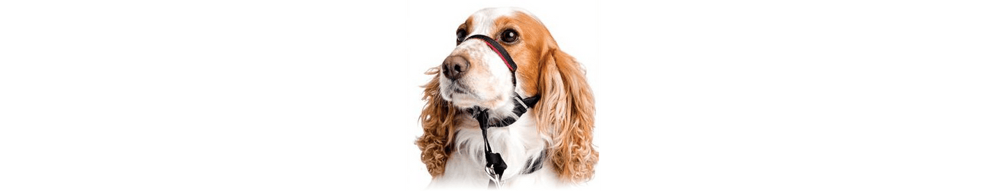  Halti OptiFit Headcollar