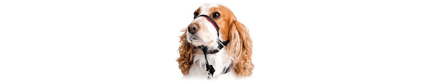  Halti OptiFit Headcollar