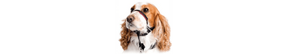  Halti OptiFit Headcollar