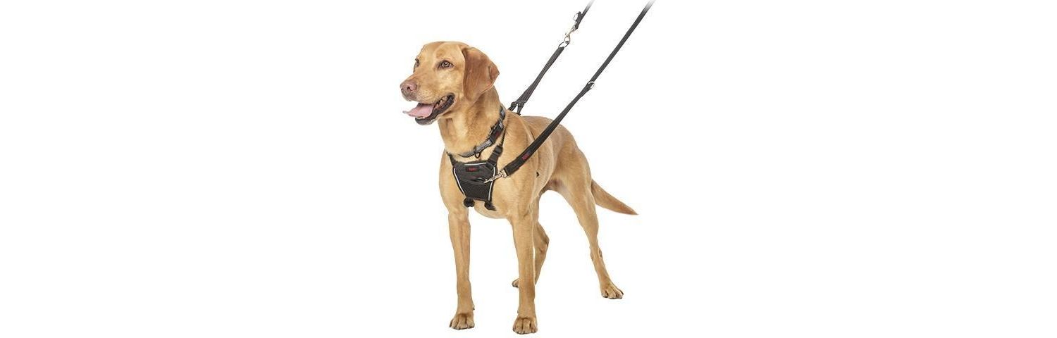  Halti No Pull Dog Harness
