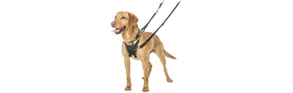  Halti No Pull Dog Harness