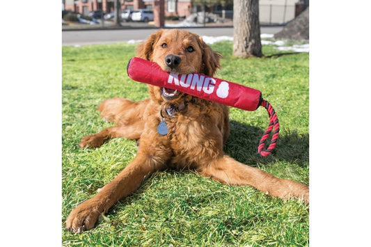  KONG Signature Stick With Rope Medium