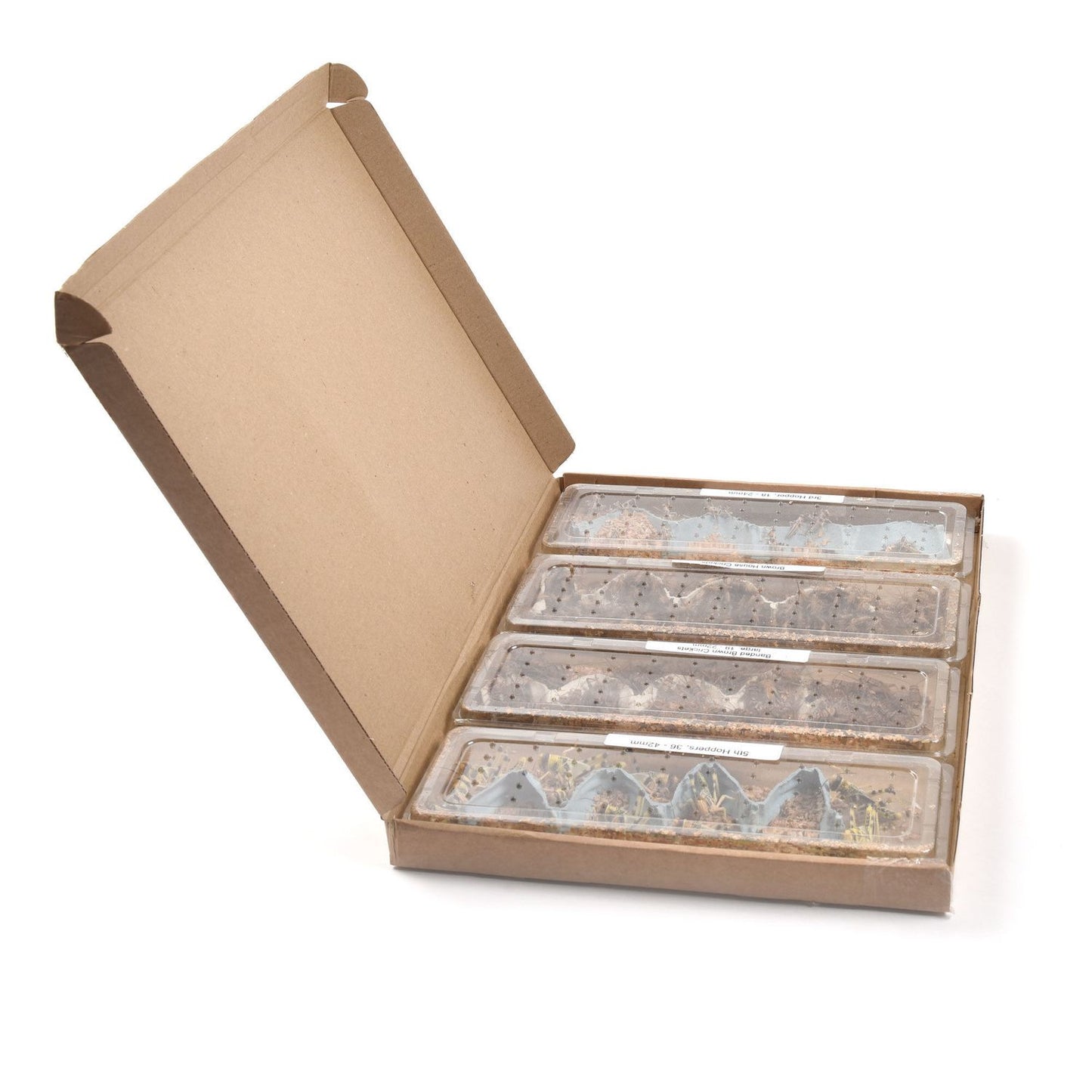  Reptile Food Letterbox Packs