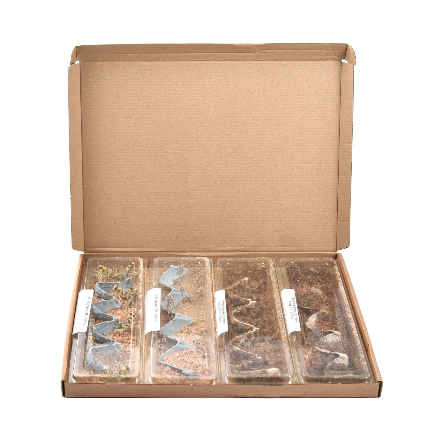  Reptile Food Letterbox Packs