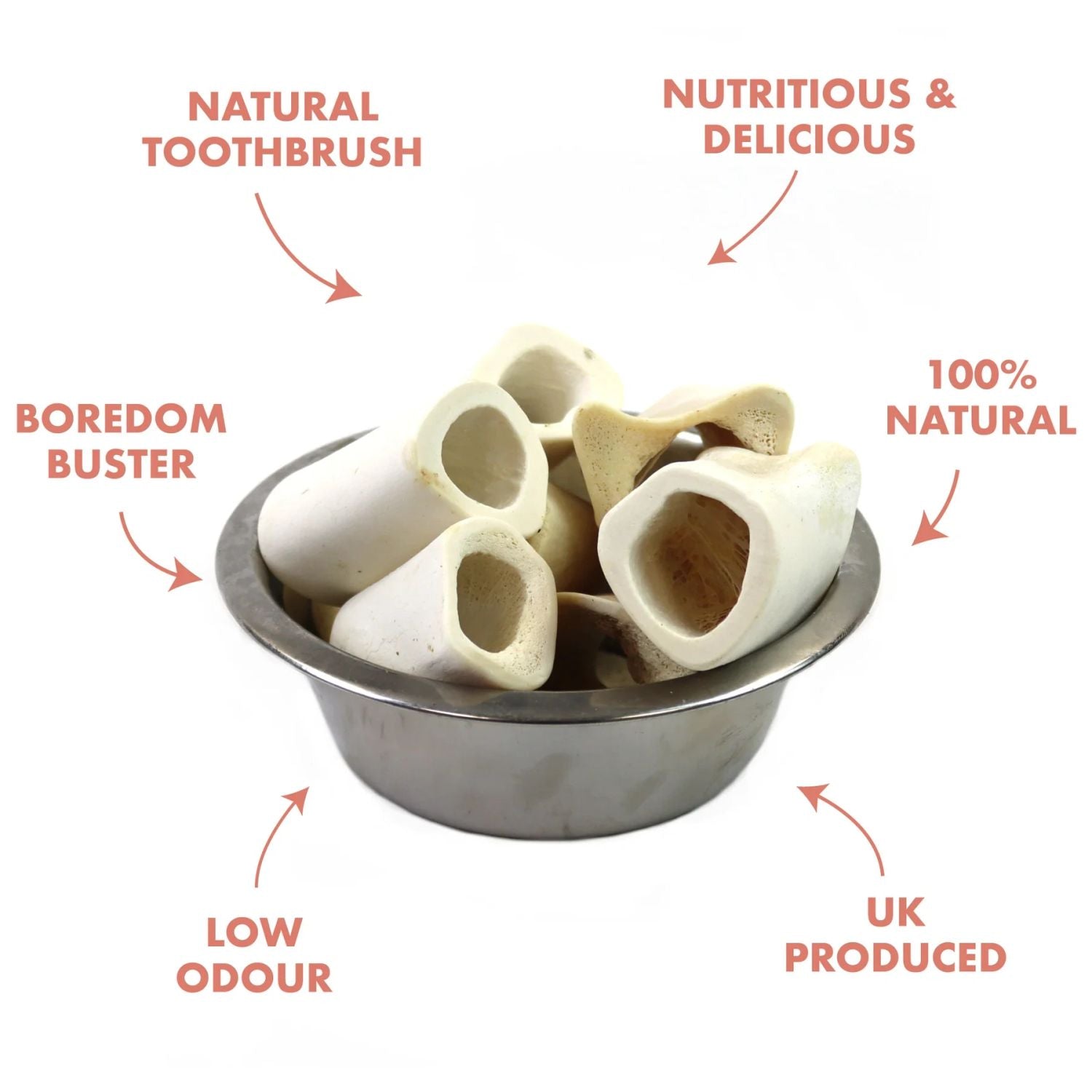  T Forrest Hollow Calcium Bones Dog Treats
