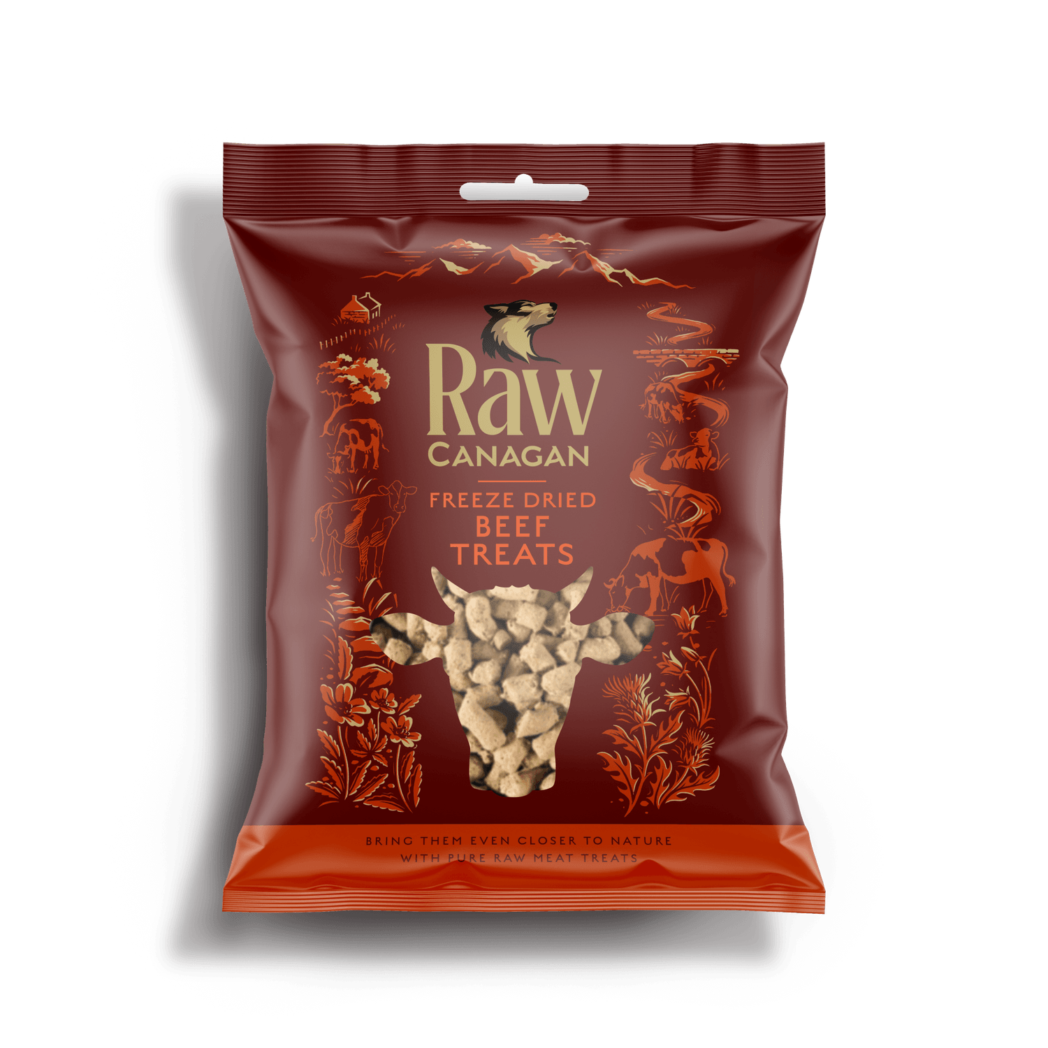  Canagan Raw Freeze Dried Beef Treats