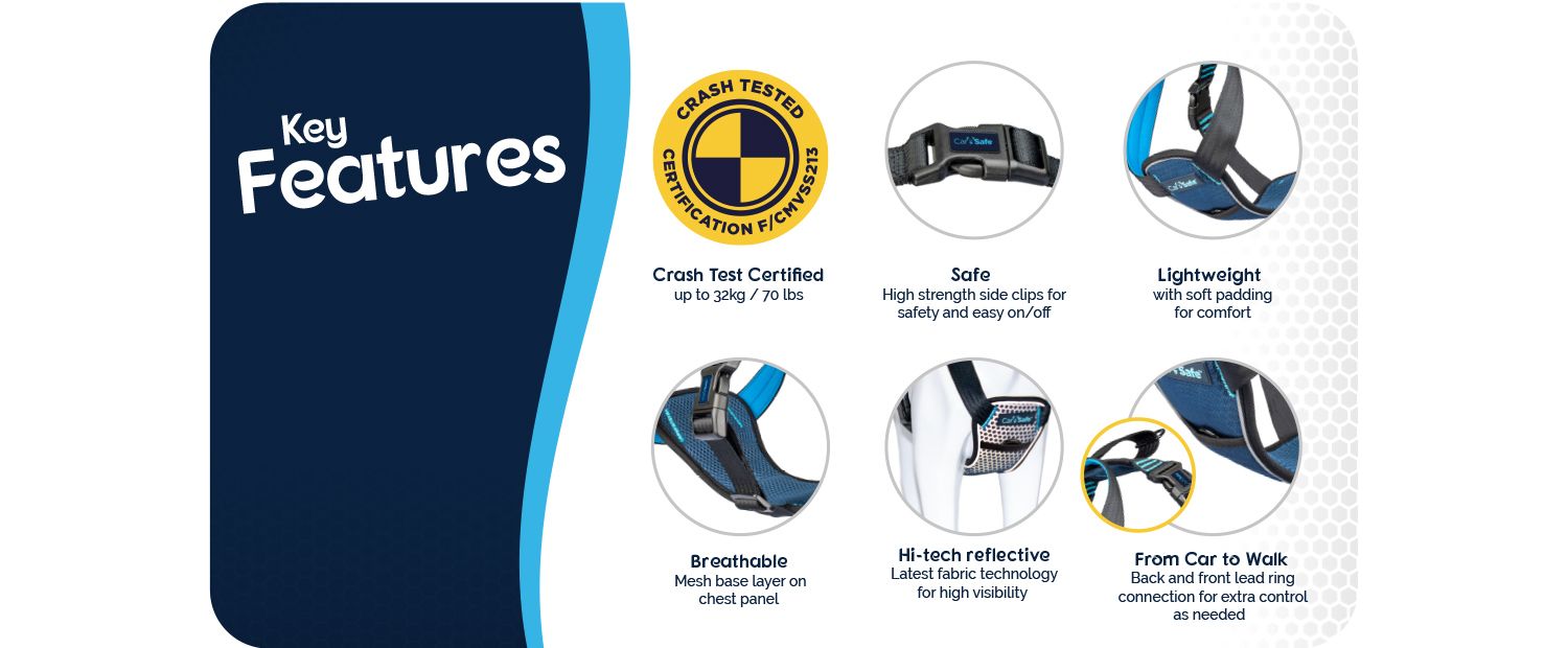  Company Of Animals Carsafe Crash Tested Dog Harness Blue