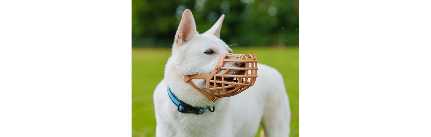  Baskerville Classic Basket Dog Muzzle
