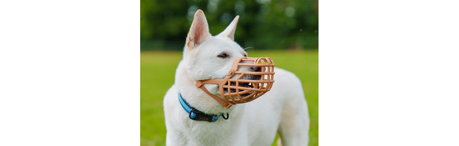  Baskerville Classic Basket Dog Muzzle