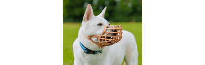  Baskerville Classic Basket Dog Muzzle