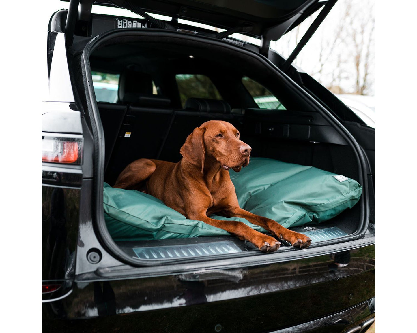  Danish Design County Waterproof Green Deep Duvet Dog Bed